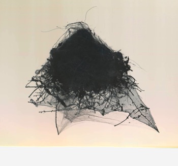 "Empty Swallow's Nest No. 15, Washington DC" 
2016